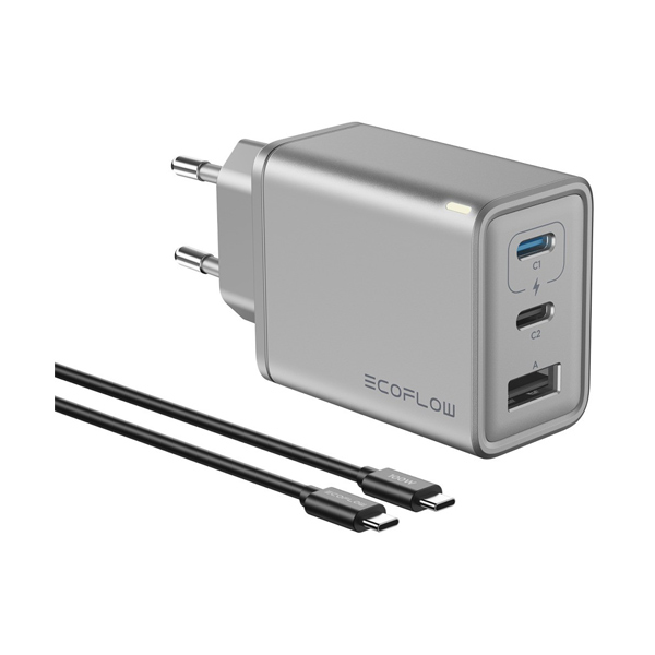EcoFlow 60W USB-C Charger met USB-C kabel